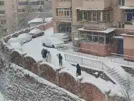 开元中国-辽宁男篮签下新大外援