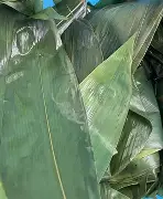 开元中国-踏雪乌啼观海啸笔趣阁